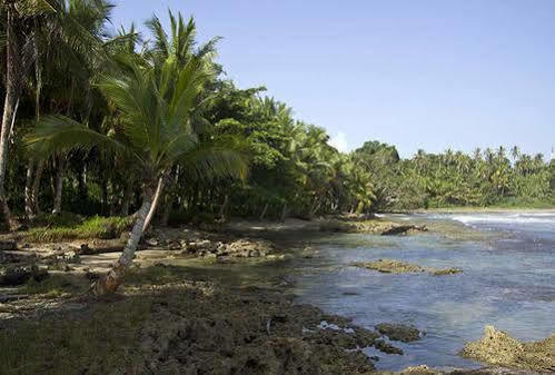 Villas Del Caribe Puerto Viejo de Talamanca Exterior photo