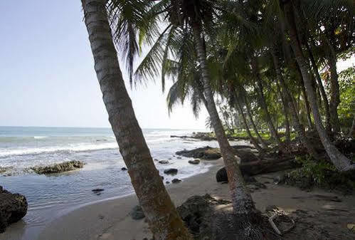 Villas Del Caribe Puerto Viejo de Talamanca Exterior photo